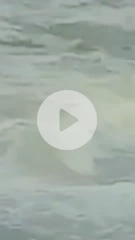 बूंदी: कोटा से वरधा बांध में पिकनिक मनाने आए तीन युवकों का तेज बहाव में बहने का वीडियो आया सामने