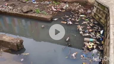 कटनी नगर: कांग्रेस नेता राजा जगवानी ने नगर निगम पर लगाया आरोप, कहा- नालों की सफाई के नाम पर लाखों का बिल पास कराया जा रहा है