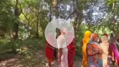 करनैलगंज: नेवादा हाशिमपुर गांव में सुबह आम बीनने गई 8 साल की दलित बच्ची का शव गांव के बाहर झाड़ियों में मिला