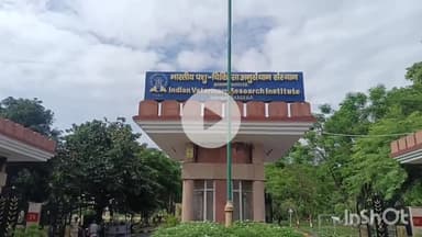 बरेली: IVRI बरेली के निदेशक त्रिवेणी दत्त ने आगामी 30 जून को राष्ट्रपति द्रोपदी मुर्मू के कार्यक्रम की तैयारियों की दी जानकारी