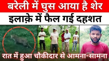 #Bareilly में तेंदुए का ख़ौफ़, हमला करेगा या क़ैद होगा | #Leopard | #Khaitan #Factory | #UP #News
