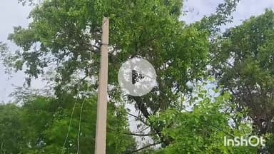 चरपोखरी: रविवार को मेंटेनेंस कार्य के चलते चरपोखरी में दो घंटे नहीं रहेगी बिजली