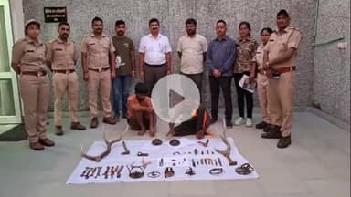 लाडपुरा: कोटा में वन्यजीव तस्करी का भंडाफोड़, बरामद हुए मॉनिटर लिजर्ड के 28 अंग, बारहसिंगा के सिंग और पैंथर का नाखून