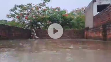 झांसी: झांसी में सुबह से घने बादल छाए, हो रही बूंदाबांदी, अगले 4 दिनों तक भारी बारिश का अलर्ट