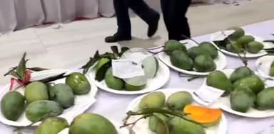 पटना ग्रामीण: ज्ञान भवन में दो दिवसीय आम महोत्सव का आयोजन, 'आम खाओ, इनाम पाओ' प्रतियोगिता भी होगी