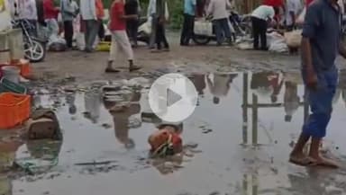 सिंगरौली: बैढ़न: बदबूदार पानी में बिक रही सब्जियां, मंडी में कीचड़, निगम कमिश्नर बोले- जल्द होगा समाधान