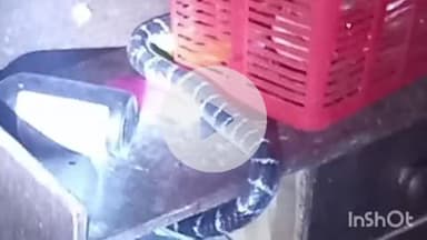 भभुआ: मदुरनी गांव में सांप काटने के बाद महिला की झाड़-फूंक के दौरान हुई मौत, शव का सदर में कराया गया पोस्टमार्टम