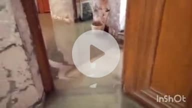 कोल: गांधीपार्क में बारिश के कारण घरों में भरा पानी, घर का कोना-कोना जलमग्न, परिवार ने वीडियो बनाकर किया वायरल