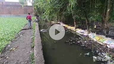 बरेली: खैराती कब्रिस्तान में भरा नाले का गंदा पानी, कहीं नहीं हुई सुनवाई #jansamasya