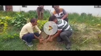 जयसिंहपुर: बौरा जगदीशपुर और करसा बूथ पर भाजपा पदाधिकारियों ने 'एक पेड़ मां के नाम' अभियान के अंतर्गत किया पौधारोपण