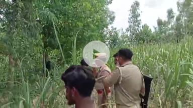 रामपुर: शाहाबाद: जटपुरा गांव के जंगल में युवती का शव पेड़ से लटका मिला, पुलिस ने शव को पोस्टमार्टम के लिए मोर्चरी भेजा