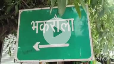 कोल: भकरौला गांव में अज्ञात कीड़े का आतंक, गांव में दहशत का माहौल, कीड़े के काटने से घायल 3 लोग पहुंचे जिला अस्पताल