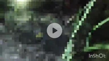 बरेली: इज्जत नगर थाना क्षेत्र के सानिया गांव में गोकशी की घटना से हिंदू संगठनों में आक्रोश