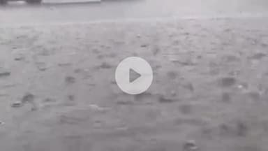 बागपत: बागपत में मानसून की पहली बारिश से किसानों को धान और गन्ने की फसल में हुआ फायदा, तापमान में आई गिरावट