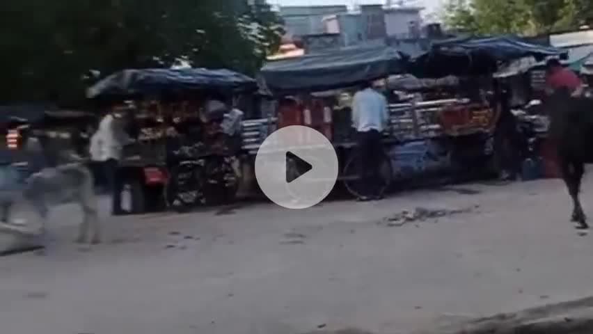 चंदला: चंदला में हाथ ठेला संचालकों की मनमानी, प्रशासन की अनदेखी से लोग परेशान #jandamasya