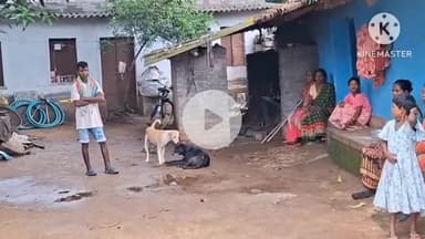 अडकी: काड़ेतुबिद में ग्राम प्रधान की हत्या, पुलिस ने 10 संदिग्धों को पकड़कर शुरू की पूछताछ