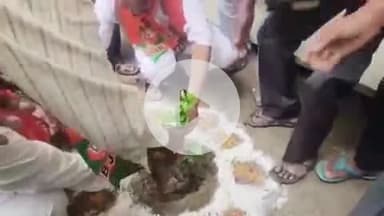 सुसुवाही में डा. श्यामा प्रसाद मुखर्जी के बलिदान दिवस पर मां के नाम पर 101 पेड़ लगाए गए