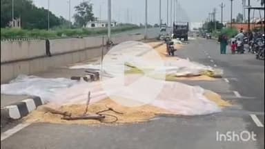 कोल: अकराबाद, हाइवे पर किसानों ने सूखने के लिए डाली मक्का की फसल, हो सकता है बड़ा हादसा, सरकार से जगह की मांग