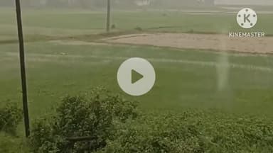 कर्रा: जिले में लगातार हो रही भारी बारिश से किसान परेशान