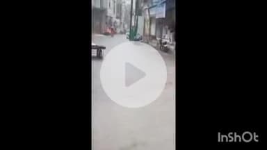 नरसिंहगढ़: नरसिंहगढ़ में एक घंटे की बारिश से जलभराव, सड़कों पर बहा पानी, जल्द शुरू होगी बुआई