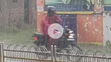 रामपुर: पहली बारिश के बाद नगर पालिका अध्यक्ष पति मामून शाह खान ने सिविल लाइन क्षेत्र में नालों का किया निरीक्षण