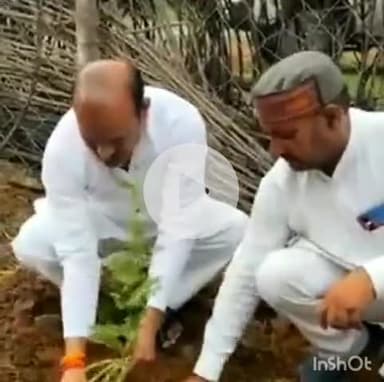 चितरंगी: लंघाड़ोल के शक्ति केंद्र बजौड़ी में भाजपा जिलाध्यक्ष ने 'मां के नाम' से किया पौधारोपण