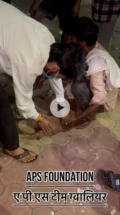 कुत्ते के साथ दुर्घटना होने के बाद भाग गया 🙏🏻

Respect Girls help poor help animals 

#apsgurjar #help #viral #support #dog