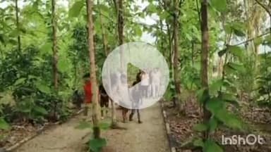 हुज़ूर: रीवा के नगर वन में उपमुख्यमंत्री ने प्राकृतिक वातावरण में भ्रमण करते हुए स्थानीय जनों से की भेंट