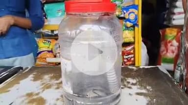 लाडपुरा: गोबरिया बावड़ी चोराहे पर किराने की दुकान में घुसा कोबरा सांप, व्यापारी दहशत में आया और किया रेस्क्यू