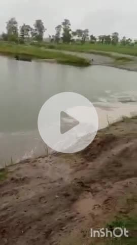 पलिया: चैनलाईजेशन से पहले ही शारदा नदी उफान पर, अतरिया रेलवे ट्रैक बना दरिया, 22 करोड़ की योजना पानी में बही