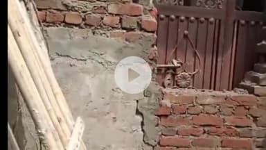 अमरोहा: अमरोहा में दबंगों के हौसले बुलंद, जोया विकास खंड की जमीन पर दीवार तोड़कर कब्जे की कोशिश, तीन पर मुकदमा दर्ज