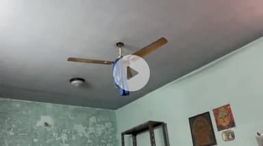 कानपुर: डिफेंस कॉलोनी में शिक्षक ने फांसी लगाकर की आत्महत्या, सुसाइड नोट में लिखा- अम्मा का ख्याल रखना, कोई रोना नहीं