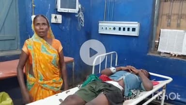 नवादा: भोला नगर में जंगली सूअर ने युवक पर किया हमला, शौच के लिए गए युवक के पेट में गंभीर चोट, पटना रेफर