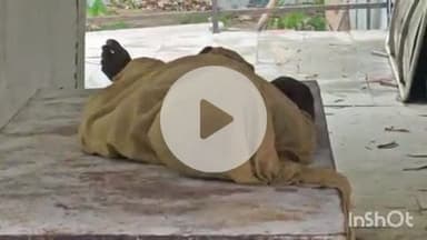 भभुआ: महुअर गांव में तालाब में डूबने से 8 वर्षीय बच्चे की मौत, सदर में शव का कराया गया पोस्टमार्टम