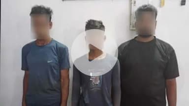 कोडरमा: कोडरमा पुलिस ने बाघीटांड़ चेकपोस्ट पर मवेशी लदे दो पिकअप पकड़े, तीन गिरफ्तार, 14 मवेशी व 4 बछड़े बरामद