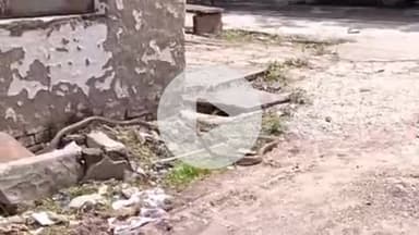 लाडपुरा: भीमगंजमंडी क्षेत्र के जैन मार्शल कॉलोनी में फार्म हाउस में घुसा 2 सांपों का जोड़ा, मच गया हड़कंप, किया गया रेस्क्यू