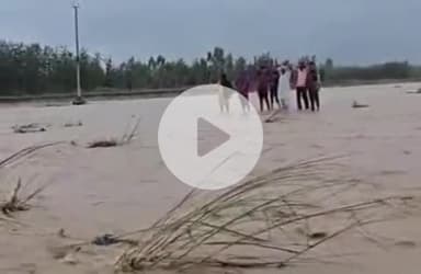 भगवानपुर: तेलपूरा गांव की नदी में बरसात में आपदा को लेकर पुलिस ने की कसरत, तहसील प्रशासन के साथ किया मॉक ड्रिल का आयोजन