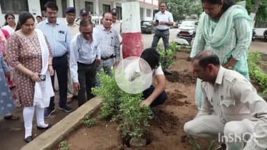 कटनी नगर: कलेक्टर ने 'एक पेड़ मां के नाम' अभियान के तहत कलेक्टर कार्यालय में किया पौधारोपण