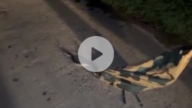 गोपद बनास: सीधी शहर के वार्ड 5 में मकान में घुसा जहरीला सांप, वन विभाग की टीम ने पकड़कर सुरक्षित छोड़ा