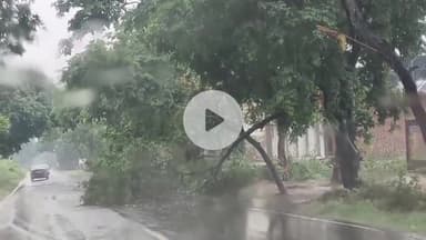 अमरोहा: अमरोहा में तूफानी बारिश का कहर, लोगों के लिए आफत बनी बारिश, अतरासी रोड पर टूटा पेड़, बाइक सवार बाल-बाल बचा