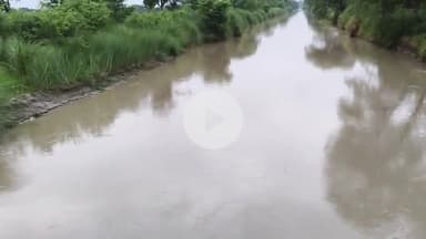 कादीपुर: जयसिंहपुर: शारदा सहायक खंड 16 नहर में पानी आने के बावजूद माइनरों में नहीं पहुंच पा रहा पानी, किसान हो रहे चिंतित