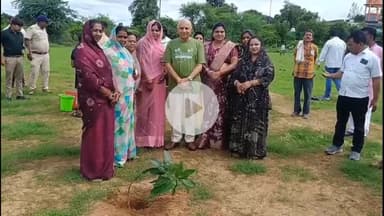 उचेहरा: उंचेहरा में अमृत-हरित महाअभियान के तहत लगे 500 पौधे, विधायक नागेंद्र सिंह जूदेव ने हवाई अड्डे पर रखी बात