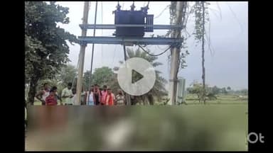 नबीनगर: मुंगिया गांव में बिजली के तार की चपेट में आने से दो गायों की हुई मौत