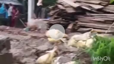 लगदू: गांव पंचायत बग्गी के वार्ड-4 में भारी बरसात के चलते गिरा डंगा, 2 मकान खतरे की जद में आए