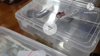 बक्सर: अधिवक्ता की हत्या के अपराधियों के मंसूबे पर पुलिस ने फेरा पानी, हथियार व कारतूस के साथ चार गिरफ्तार: एसपी शुभम आर्य