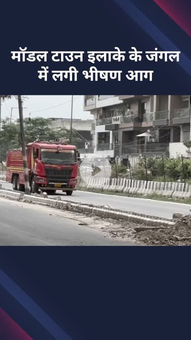 मॉडल टाऊन: मॉडल टाउन इलाके के जंगल में लगी भीषण आग
