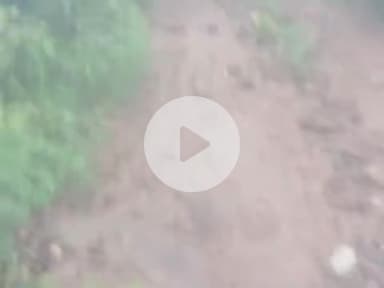 village garni , Panchayat hiran ,tehseel jawala ji , post off ,Phakloh