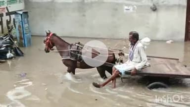 चूरू: शहर में तेज बारिश के कारण निचले इलाकों में भरा पानी, वार्ड-55 व 56 सहित अन्य इलाकों में जलभराव से लोग परेशान #jansamasya