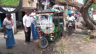 बनपुरा ताजपुर एकमा मशरख मुख्य मार्ग पर पेड़ गिरने से सड़क अवागमन में राहगीरों को हो रही कठिनाई