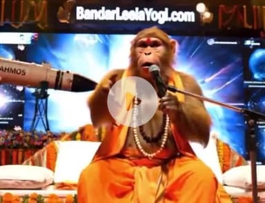 Bandar leela Yogi ने एक और नई मिसाइल दाग़ दी !